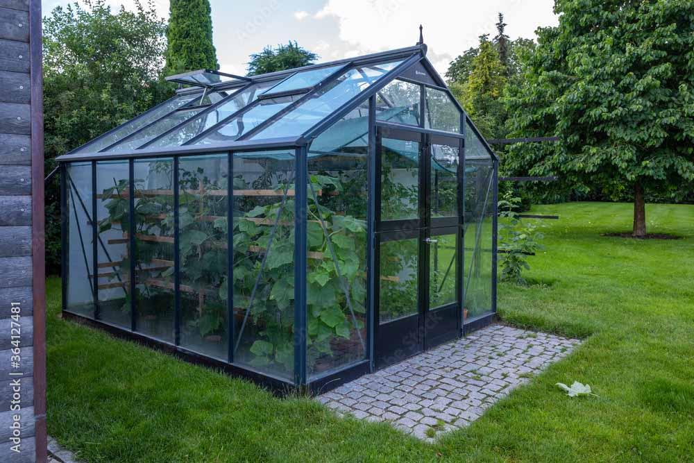 Greenhouse Heating and Ventilation: Creating the Perfect Growing Environment